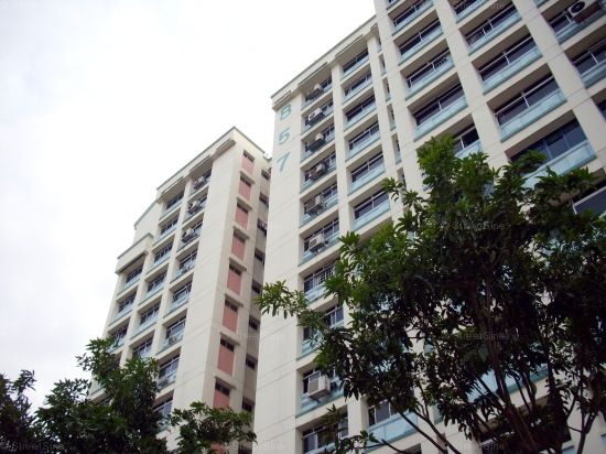 Blk 857 Jurong West Street 81 (Jurong West), HDB 5 Rooms #422472